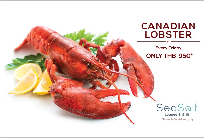 Where to Eat Phuket Fresh Canadian Lobster at Sea Salt Lounge & Grill