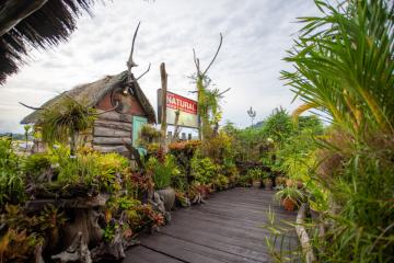 Dine al fresco with plants