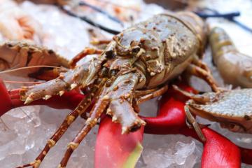 Baithong Thai & Seafood Restaurant