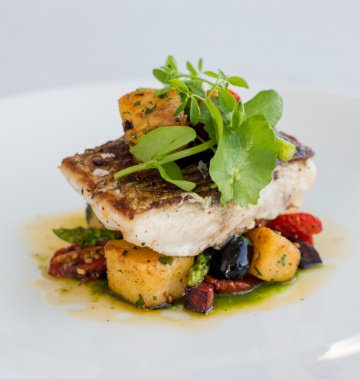 Phuket white snapper