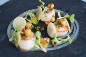Seared scallop