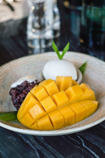 Sears & Co&nbsp;Bar and Grill