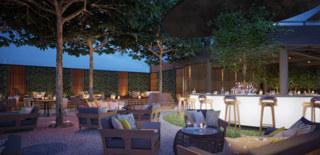 Bar & lounge area under the trees & stars