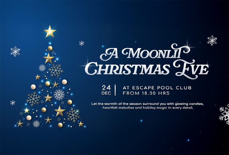 A MOONLIT CHRISTMAS EVE 